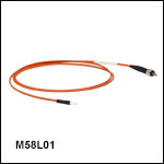 Ø300 µm Core, 0.39 NA SMA to Ferrule Patch Cables with Ø2.5 mm Ferrules, PVC Jacket