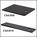 Breadboard Tops for Microscope Bodies<br>