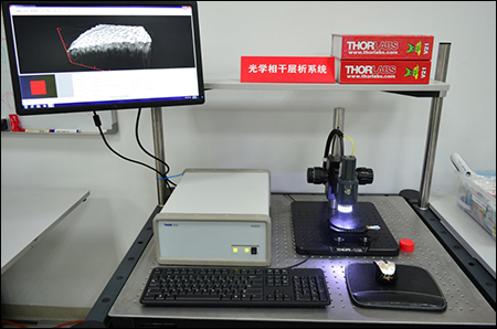 Confocal Microscopy