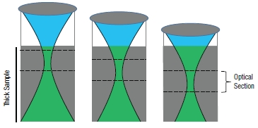 Optical Sectioning in Confocal Microscopy