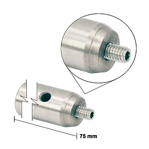 TR75/M-JP - Ø12 mm Optical Post, SS, M4 Setscrew, M6 Tap, L = 75 mm