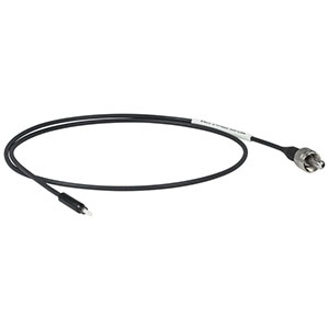 M87L005 - Ø200 µm Core, 0.22 NA SMA905 to Ø1.25 mm Ferrule Patch Cable, 0.5 m Long