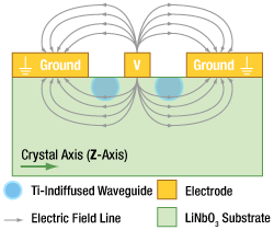 X-Cut Lithium Niobate Cross Section