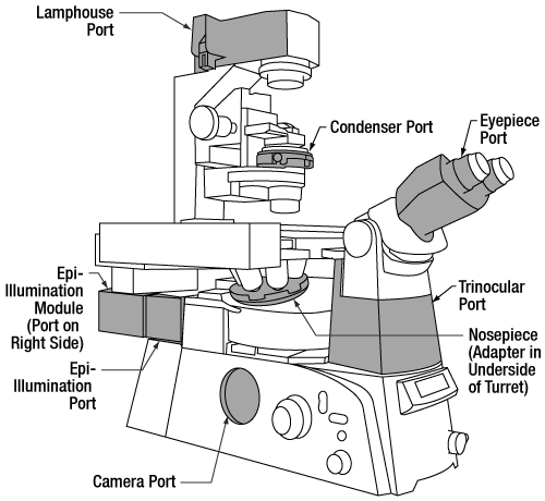 Nikon Eclipse Ti Ports