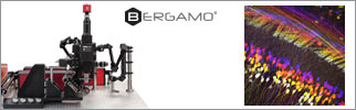Bergamo® II Series Microscopes